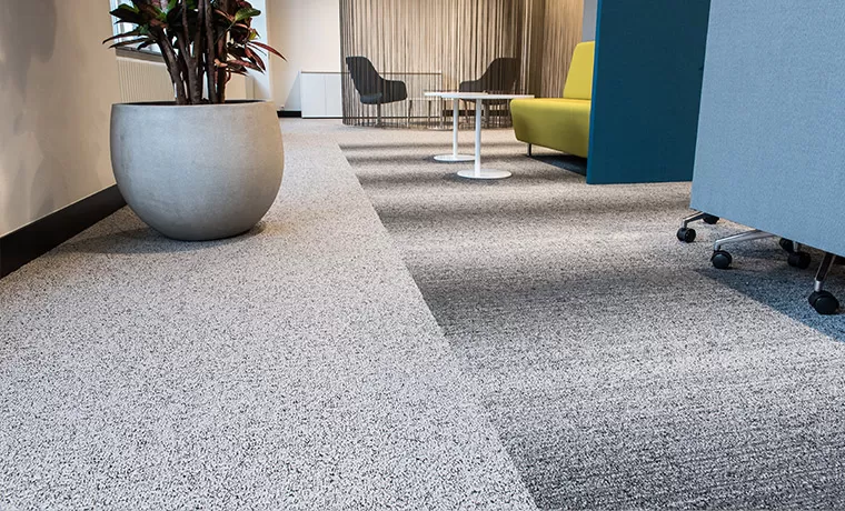 Moquettes collées, Saintes, Intérieur Décoration