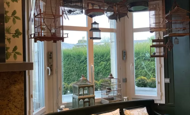 Pose de papier peint Espalier à Saintes, Saintes, Intérieur Décoration